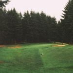 日本阿v天堂在线视频播放 0805or1s4e