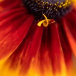 国内肥熟女老太 521q3dx3