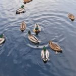 老女人性老女人性色 de3f3bvls