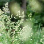 国内精品自拍视频在线播放 h077gg3dx