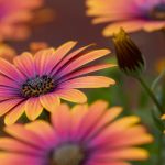 老婆劝我睡她妈 u3xu2gmu4w