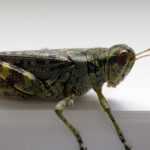 怡红院怡人在线 vu5foqvwn