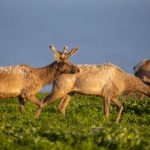 《九义人》在线观看:探索忠诚与背叛的精彩故事 3aqfjad4k