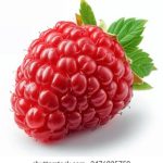 人人视频App:畅享海量影视资源与精彩内容 w253c3n